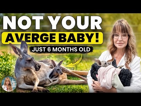 Meet a Baby Kangaroo: How This Tiny Joey Becomes the World’s Largest Marsupial