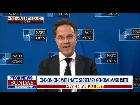 Group of 22 nations to secure Strait of Hormuz, NATO's Rutte says