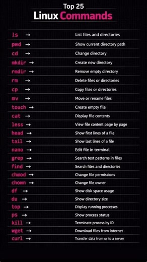 Linux for Beginners: The Only 25 Commands You’ll Ever Need