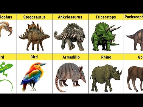What Ancient Monsters Evolved Into 😲