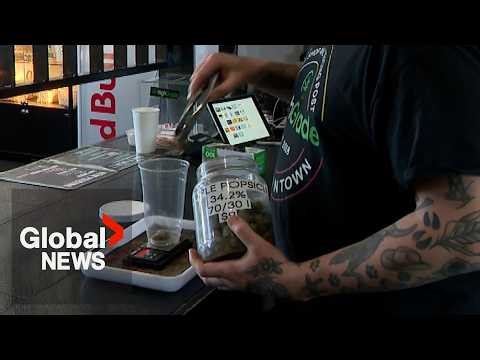 First Nation blocks main highway to Halifax over cannabis crackdown