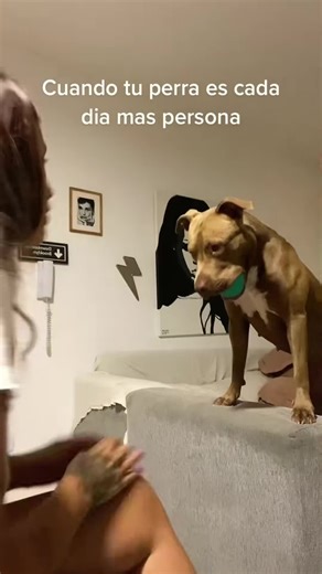 Hilarious Animal Moments: Try Not to Laugh Challenge