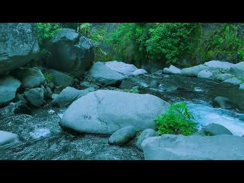 Smooth Stream Ambience 24/7 – For Deep Work, Tension Release & Quick Sleep