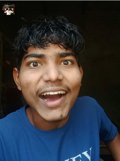 Which vehicle can break turtle's shell? 😱