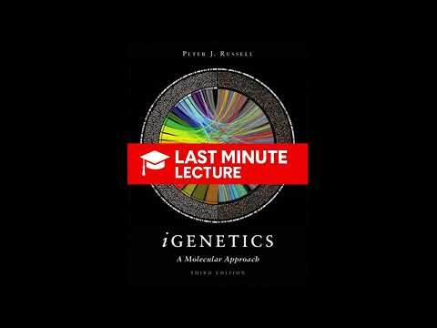 DNA: The Genetic Material Explained | Chapter 2 – iGenetics: A Molecular Approach (3rd)