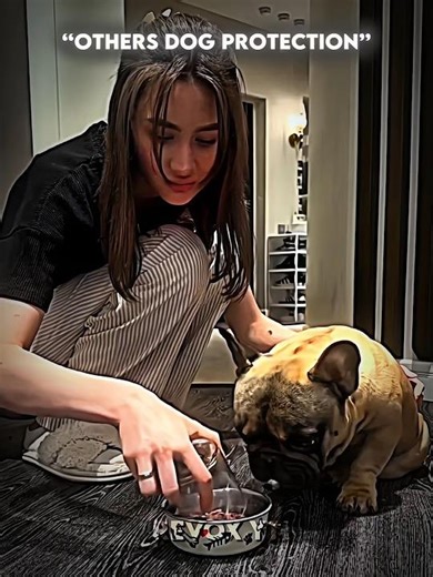 Others Dog Protection Vs. The Last One 💀