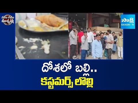 దోశలో బల్లి.. కస్టర్మర్ లొల్లి | A Lizard Found in Dosa at Jagtial | Sakshi TV Garam Garam Varthalu
