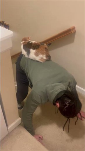 Cat Riding Up Stairs on Owner’s Back || ViralHog