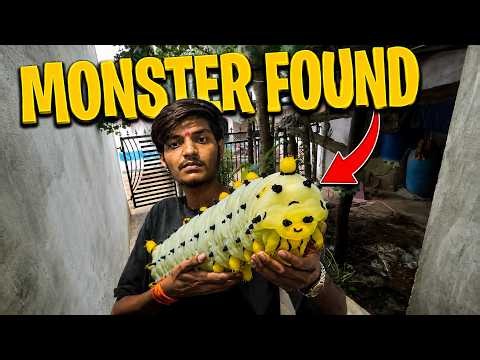 Don't touch this monster.. 😱 (Alien found)