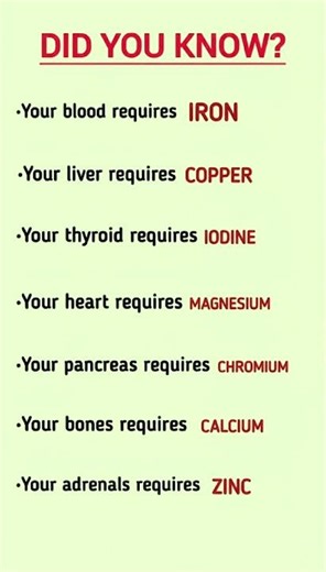 DID YOU KNOW? Essential Minerals Your Organs Secretly Depend On | Iron, Copper, Iodine #healthtip