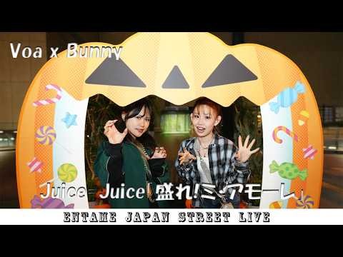 高崎初遠征！歌うま歌姫！VoaxBunnyさん 路上ライブ 4K 高画質 ♬歌ってます♬ Juice=Juice「盛れ!ミ・アモーレ」高崎