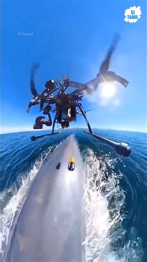 Tagging whales | SJ Tamil #sjtamil #facts #tamil #shorts