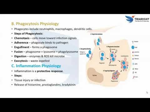 Immune System PART-5- MEDICAL CODING