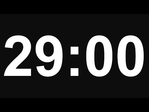 29 Minute Timer - No Alarm - 8K