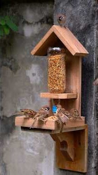 Build This Amazing Bird Feeder With Leftover Wood! #birds #cute #nature