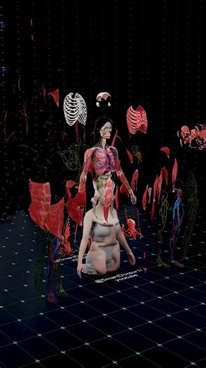 The Most Detailed Human Dissection Ever Recorded 📹🧬 . . Step inside the incredible world of human anatomy like never before! In this ultra-realistic 3D medical animation, we peel back the layers of the human body – from the skin, to muscles, to organs, vessels, and finally the skeleton – all in breathtaking detail. This isn’t just an anatomy lesson, it’s a full journey through the marvel of the human body: Skin Layer – The body’s first line of defense Muscular System – Power and movement Organ