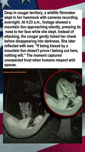 Mountain Lion Kisses Sleeping Filmmaker