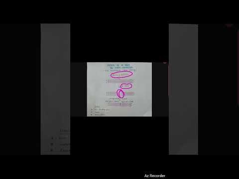 Recombination Repair Mechanism