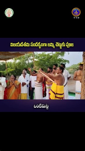 విజయదశిమి సందర్భంగా జమ్మి చెట్టుకు పూజ-ఒంటిమిట్ట || SVBC TTD