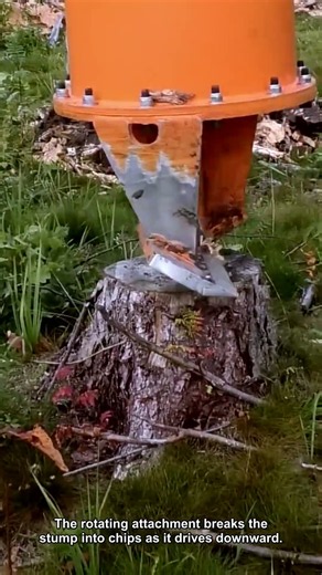 The Stump Breaks Apart Beneath the Rotating Head #StumpRemoval #Forestry #Machinery