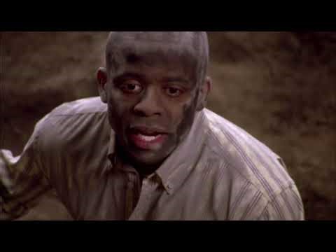 Dinosaur Discovery | Psych