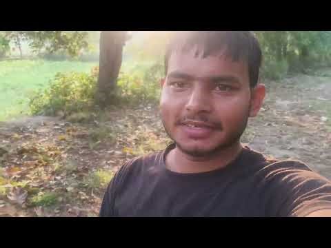 Scary Dust Storm Hits Mango Garden | Real Storm Footage India//When Dust Storm Hits the Mango