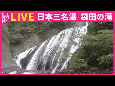 【ライブカメラ】日本三名瀑「袋田の滝」 茨城県久慈郡大子町 ──（日テレNEWS LIVE）