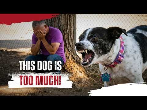 Blood in the Backyard | Cesar Millan’s Most Dangerous Dogs | Ep. 3