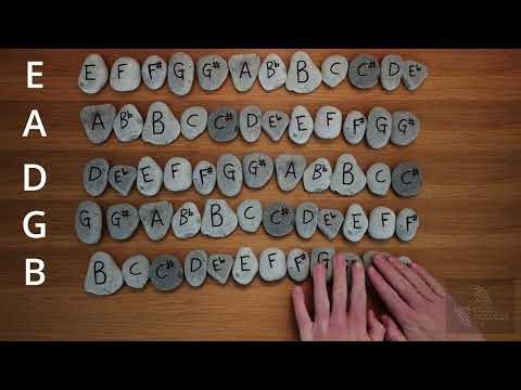 Basic Music Theory 1 - An Introduction to Music Theory - Lesson 1