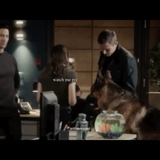 Charlie Hudson & Sarah Truong Edit | Hudson & Rex | [The Governor’s Waltz Phoebe Bridgers] #edit