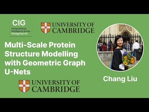 Multi Scale Protein Structure Modelling with Geometric Graph U Nets