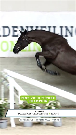 ⚡ 24 hours in. 48 hours to go.