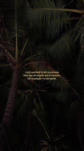 something i couldn’t say (@somethingicouldntsay)’s video of angels