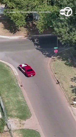 Wild police chase ends in rollover crash