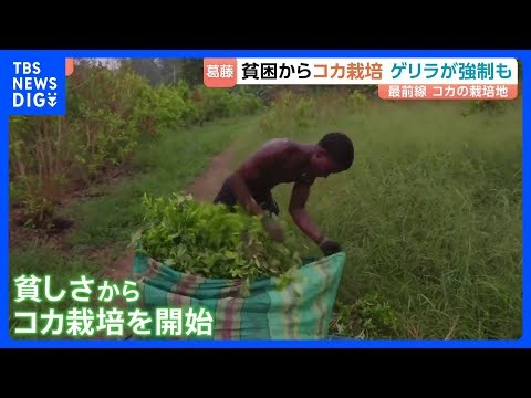 “麻薬対策”争点のコロンビア大統領選 コカ栽培めぐり左派は「転作」 極右は「壊滅」を主張 「親族のうち20人が殺された」 長くつづく課題に国民の選択は？｜TBS NEWS DIG