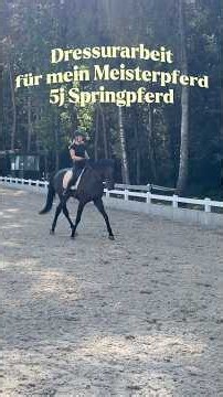 Traversalen lernen mit Amino 😎 #dressage #equestrian