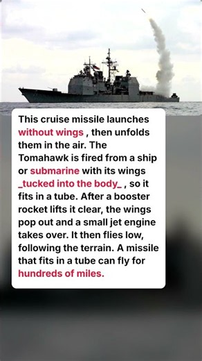 The Missile That Opens Its Wings After Launch #Tomahawk #CruiseMissile #Navy #MilitaryShorts