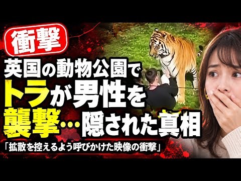 【衝撃】英国の動物公園でトラが男性を襲撃…死亡事故の全真相と警察が拡散を禁じた映像の衝撃