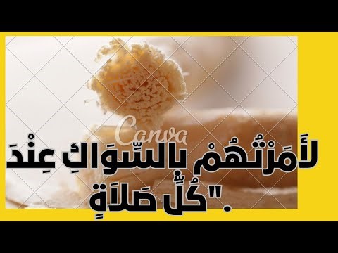 🌿 سرّ السواك: ماذا وجد العلماء في عود الأراك؟ 🔬 سر لم تعرفه من قبل: عود أراك صغير يحوي كنزًا صحيًا !
