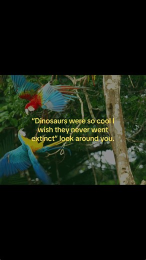 Birds are living dinosaurs — look around you