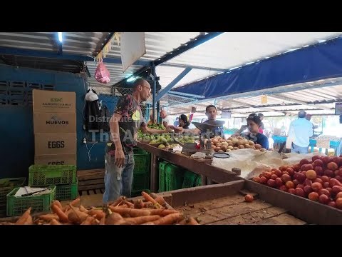US energy blockade leaves Cuban farmers struggling to feed a nation