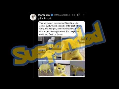 Twitter (X) Banned me