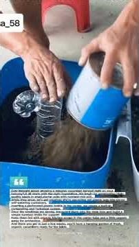 Secret to Growing Massive Cucumbers in Plastic Containers! #shorts #foryou #cucumber #plants