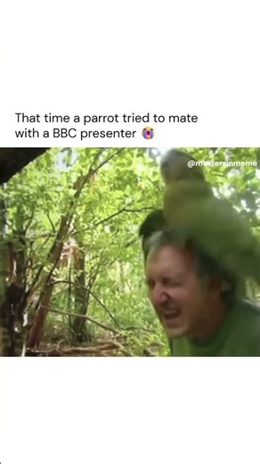 Shagged by a rare parrot 😭 During the filming of Last Chance to See, host Stephen Fry #Shorts