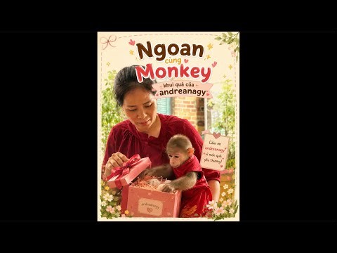 Ngoan & Monkey Open a Special Gift from andreanagy 🐒🎁 | Sweet & Heartwarming Live