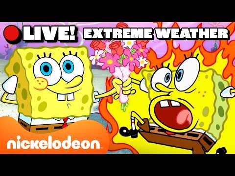 🔴 LIVE: SpongeBob's Most Extreme Weather Marathon! 🔥❄️ | Nicktoons