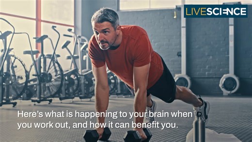 What does exercise do to your brain?