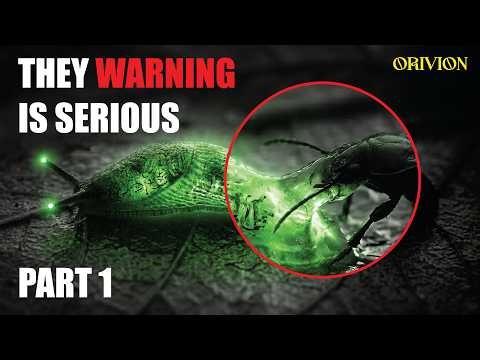 The Slug in Your Garden Has Survived 5 Mass Extinctions. Here's How. | Slugs: The Hidden World Pt. 1