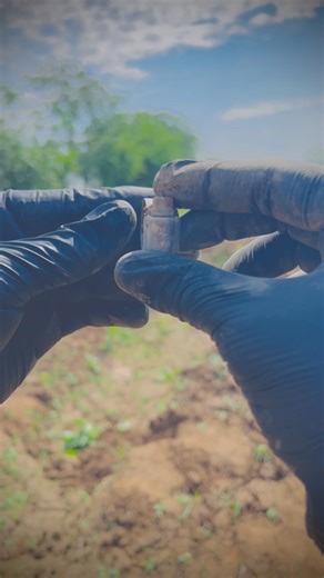 DAY 70 of 75 - this is also good 😊