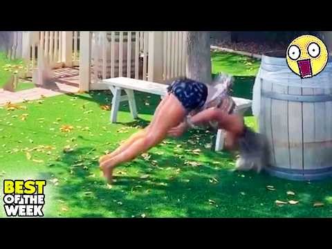 Stupid Epic Fails 2026 🤩 #10 | Try Not to Laugh Challenge 😏| Top Hilarious and Super Epic Moments